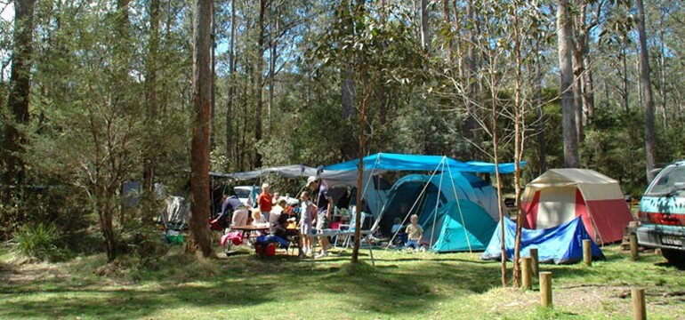 Едем на пикник